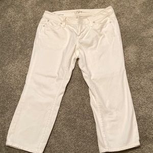 Ann Taylor Loft cropped